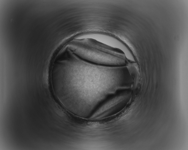 X0000088910391200707061349