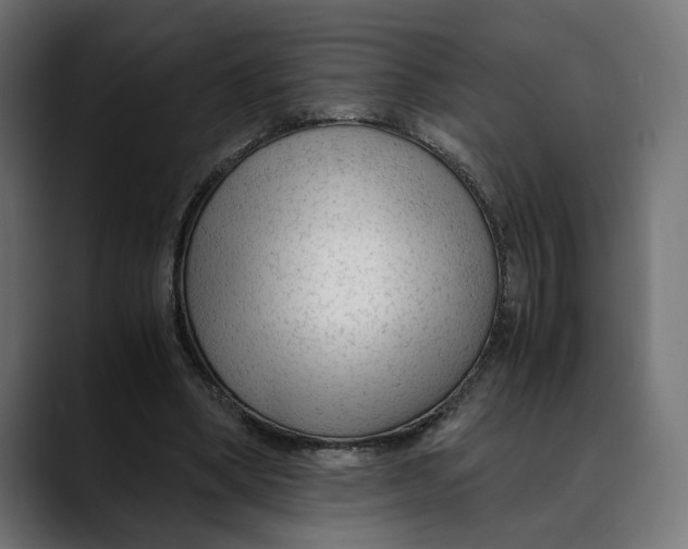 X0000088910394200707061349