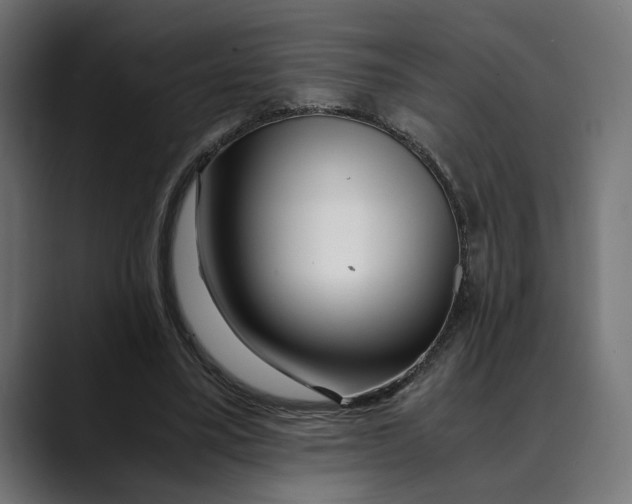 X0000088910395200707061349