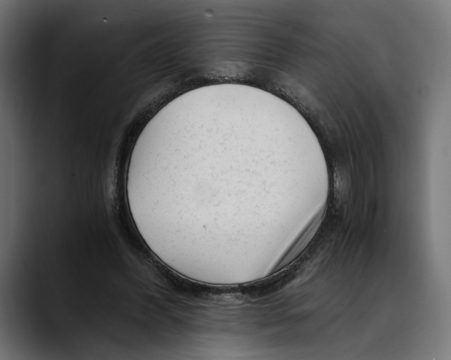 X0000088910396200707061349