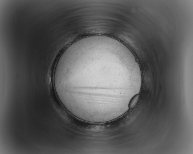 X0000088910398200707061349