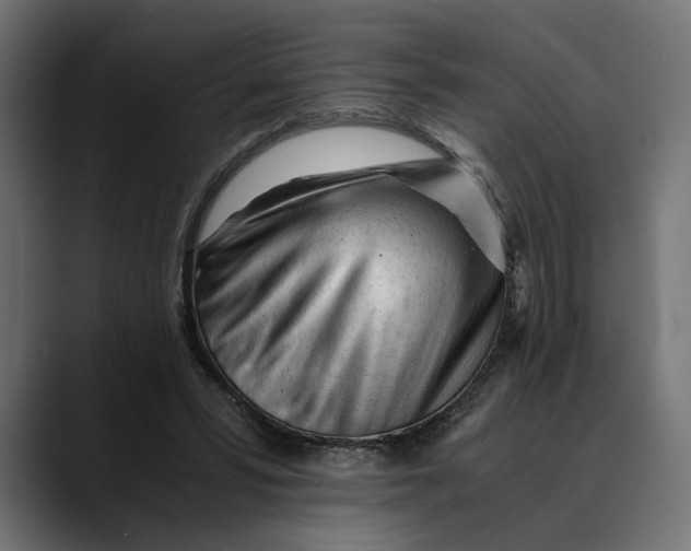 X0000088910399200707061349