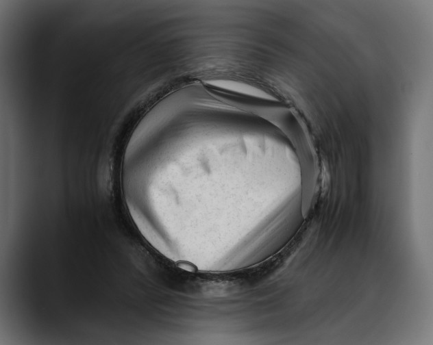 X0000088910400200707061349