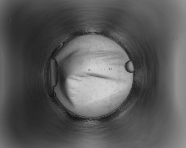 X0000088910402200707061349