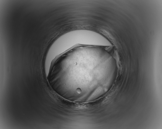 X0000088910405200707061349