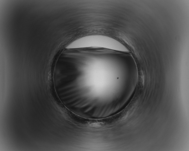 X0000088910407200707061349