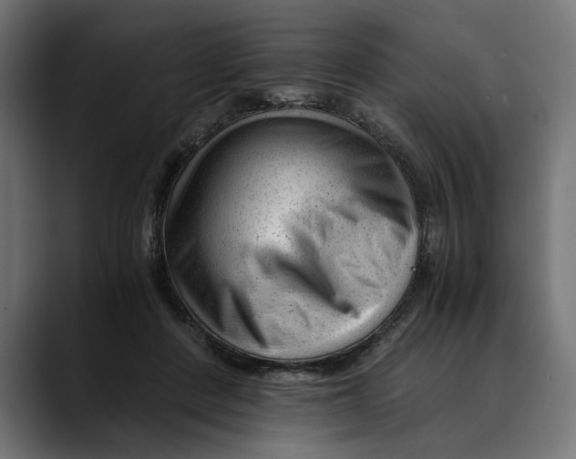 X0000088910408200707061349