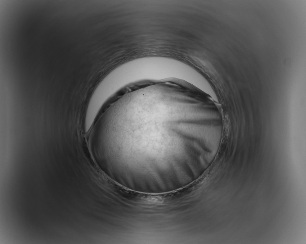 X0000088910409200707061349