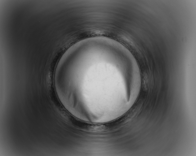 X0000088910410200707061349