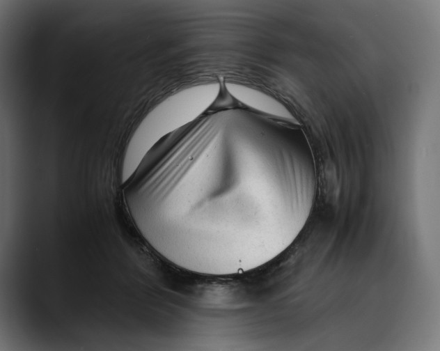 X0000088910412200707061349