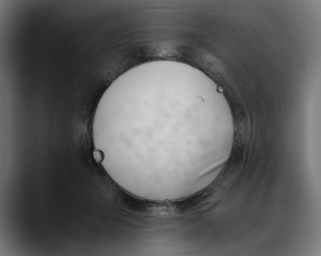 X0000088910415200707061349