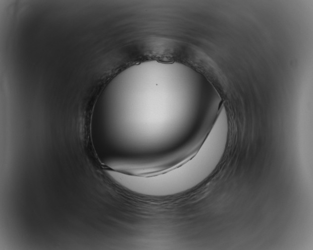 X0000088910416200707061349