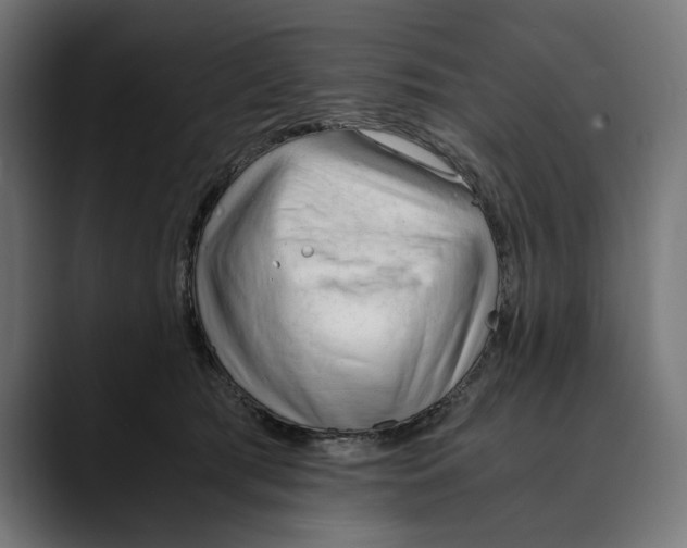 X0000088910417200707061349