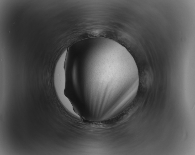 X0000088910420200707061349