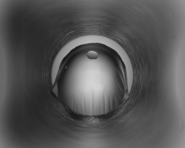 X0000088910421200707061349