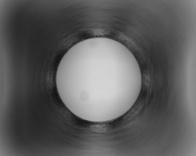 X0000088910422200707061349