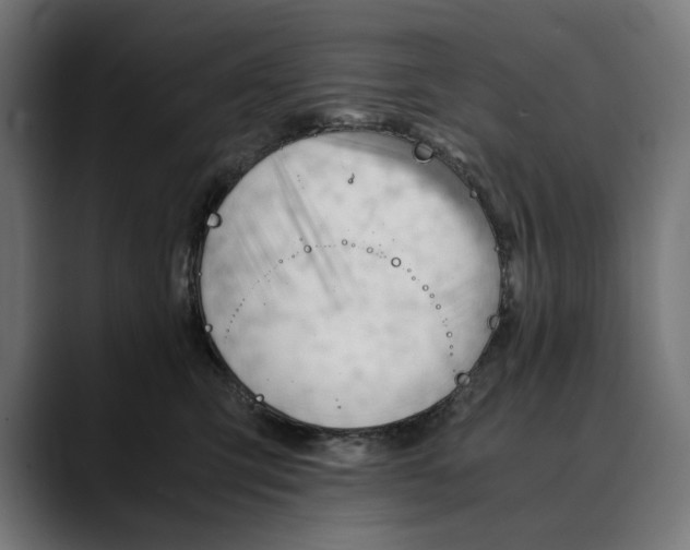 X0000088910423200707061349