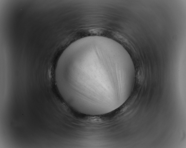 X0000088910424200707061349