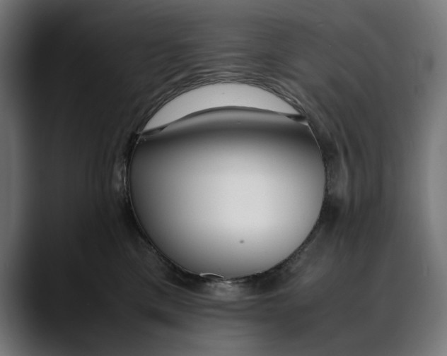 X0000088910425200707061349