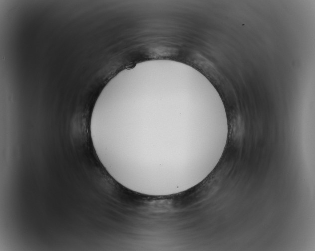 X0000088910426200707061349