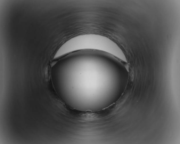 X0000088910428200707061349