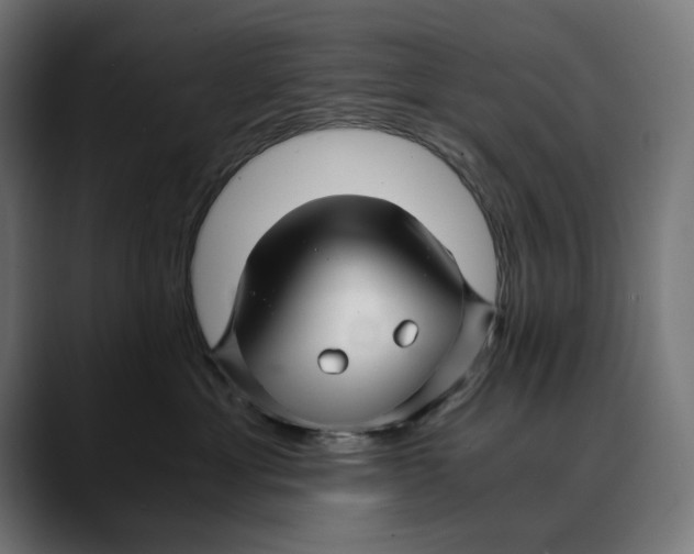 X0000088910429200707061349