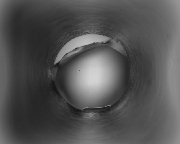 X0000088910432200707061349