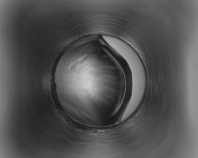 X0000088910434200707061348