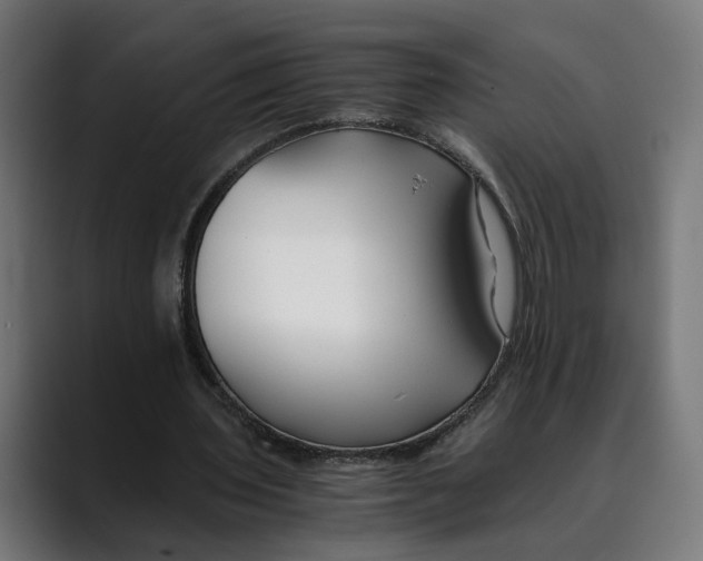 X0000088910435200707061348