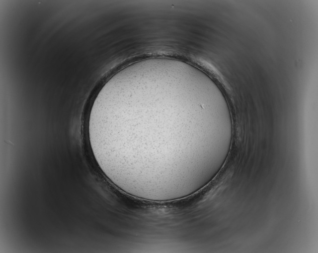 X0000088910439200707061348