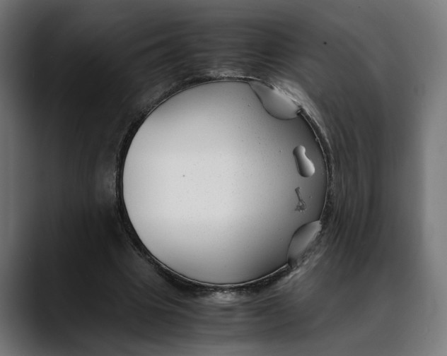 X0000088910441200707061348