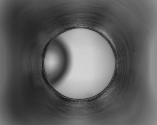 X0000088910445200707061348