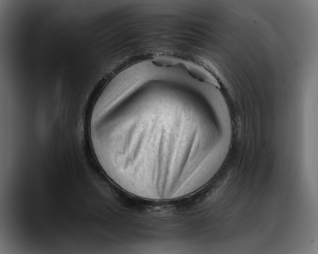 X0000088910447200707061348