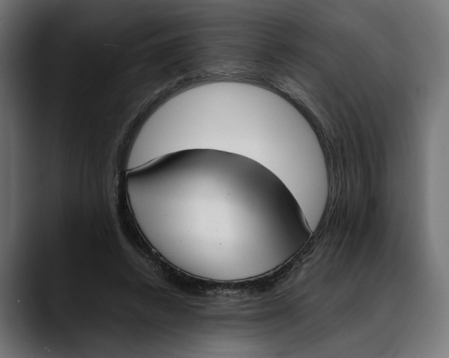 X0000088910448200707061348