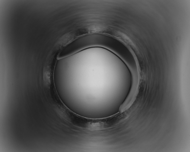 X0000088910452200707061348