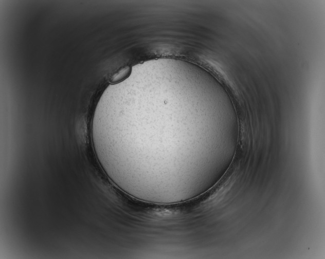 X0000088910453200707061348