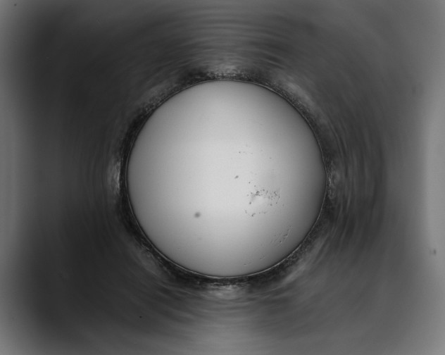 X0000088910454200707061348