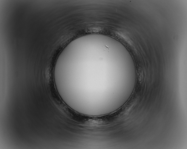 X0000088910455200707061348