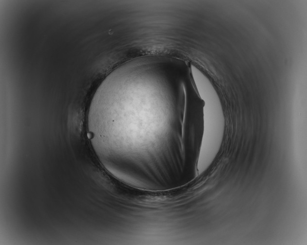 X0000088910458200707061348