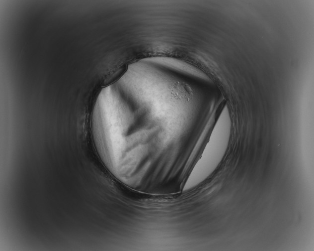 X0000088910462200707061348