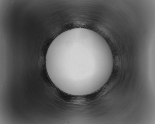 X0000088910463200707061348