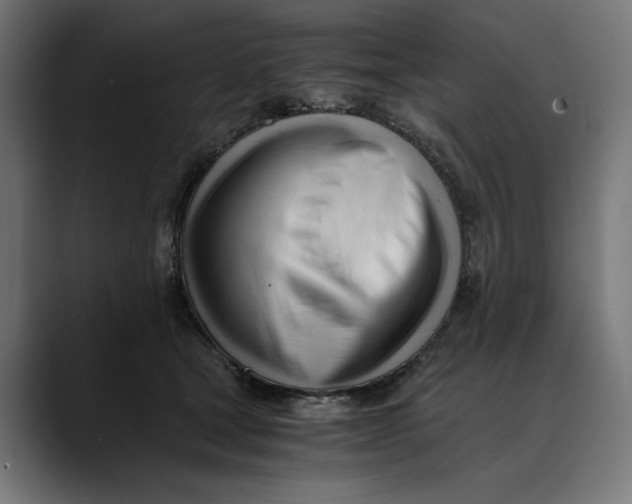 X0000088910465200707061348