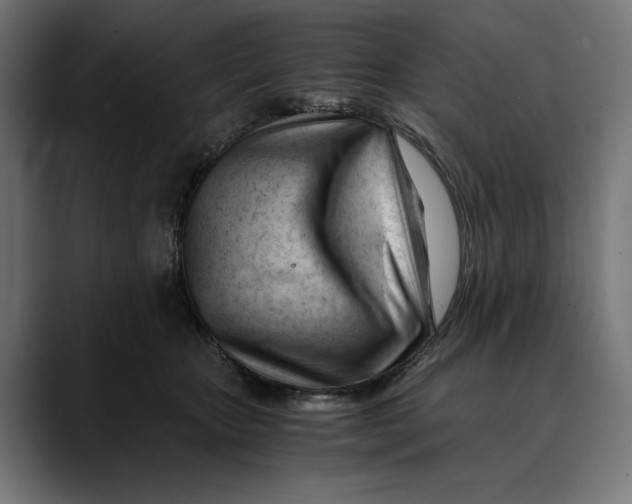 X0000088910467200707061348