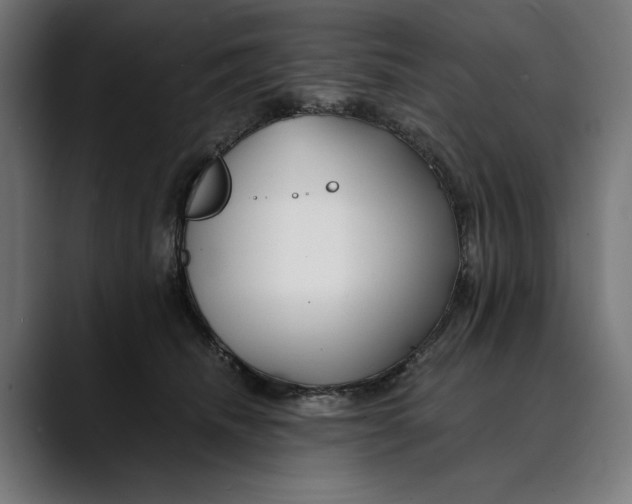 X0000088910468200707061348