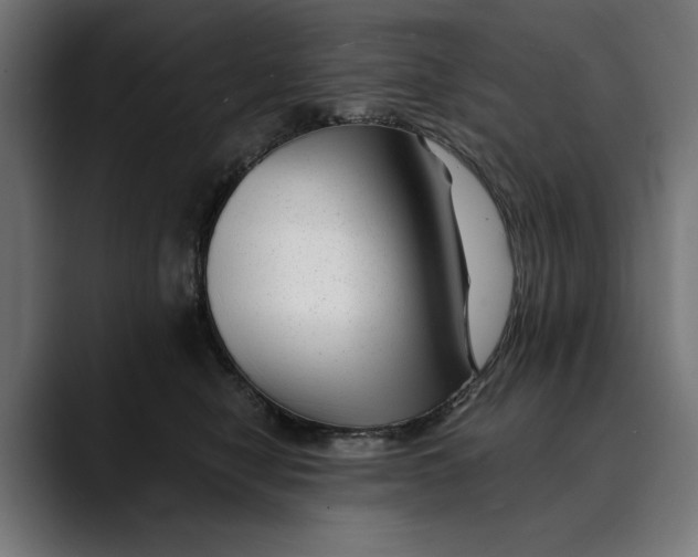 X0000088910470200707061348