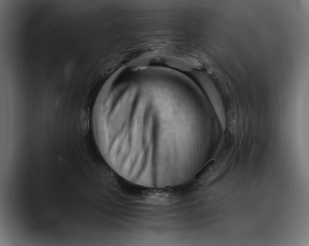 X0000088910471200707061348