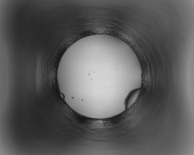 X0000088910473200707061348