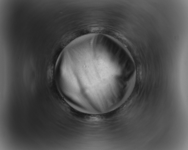 X0000088910475200707061348