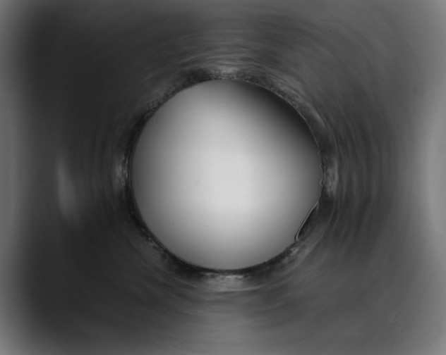 X0000088910476200707061348