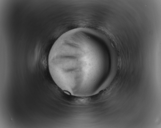 X0000088910479200707061349